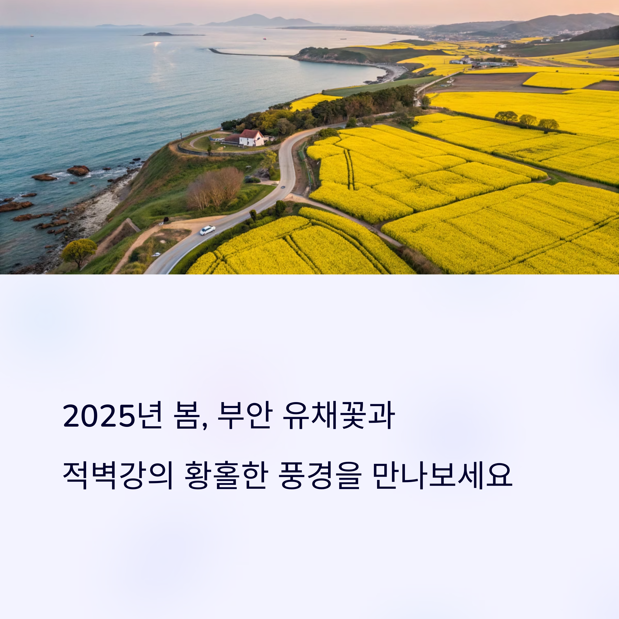 부안 유채꽃 명소와 적벽강 완벽 여행 가이드