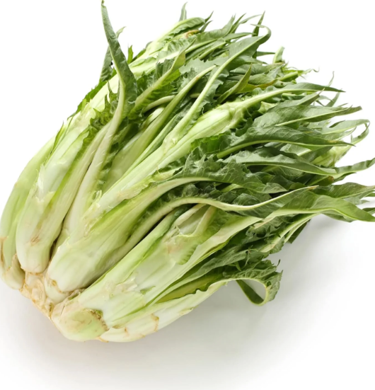 치커리 효능 부작용 먹는법 한눈에 정리