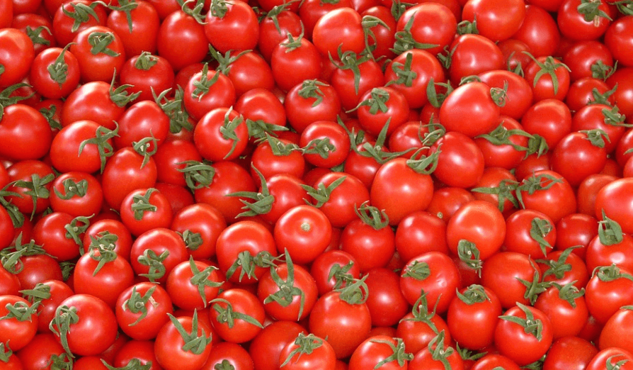 칼륨이 많은 음식 방울 토마토가 한가득 모여 있다