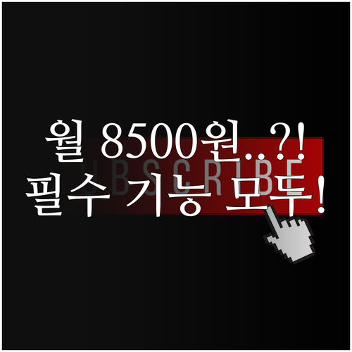 유튜브 라이트 월 8500원 기능 오..