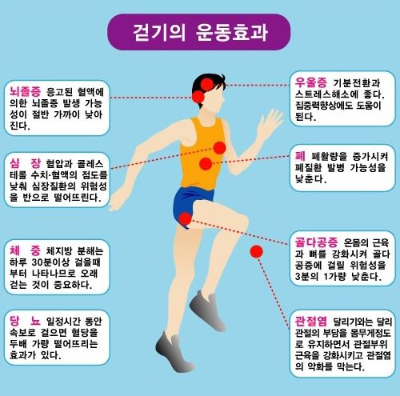 걷기운동효과