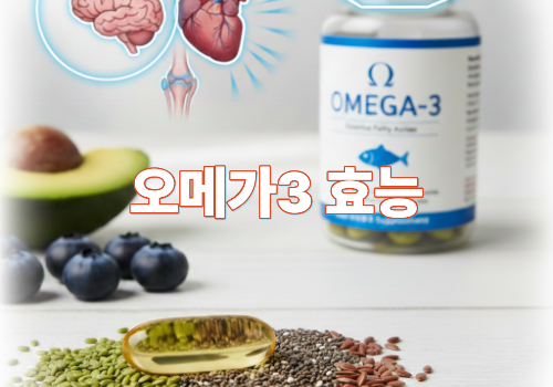 오메가3 효능