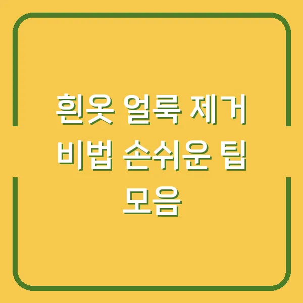 흰옷 얼룩 제거 비법 손쉬운 팁 모음
