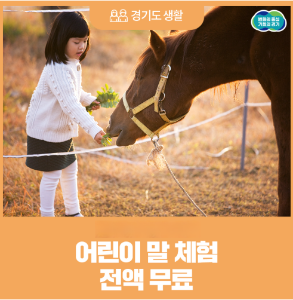 경기도 무료 어린이 말 체험 예약 꿀팁 (9~11월 조기 마감 주의)