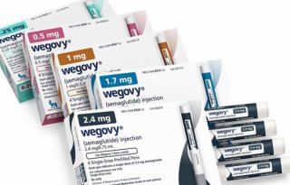 위고비 부작용 관리 팁