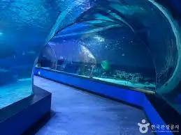씨라이프-부산