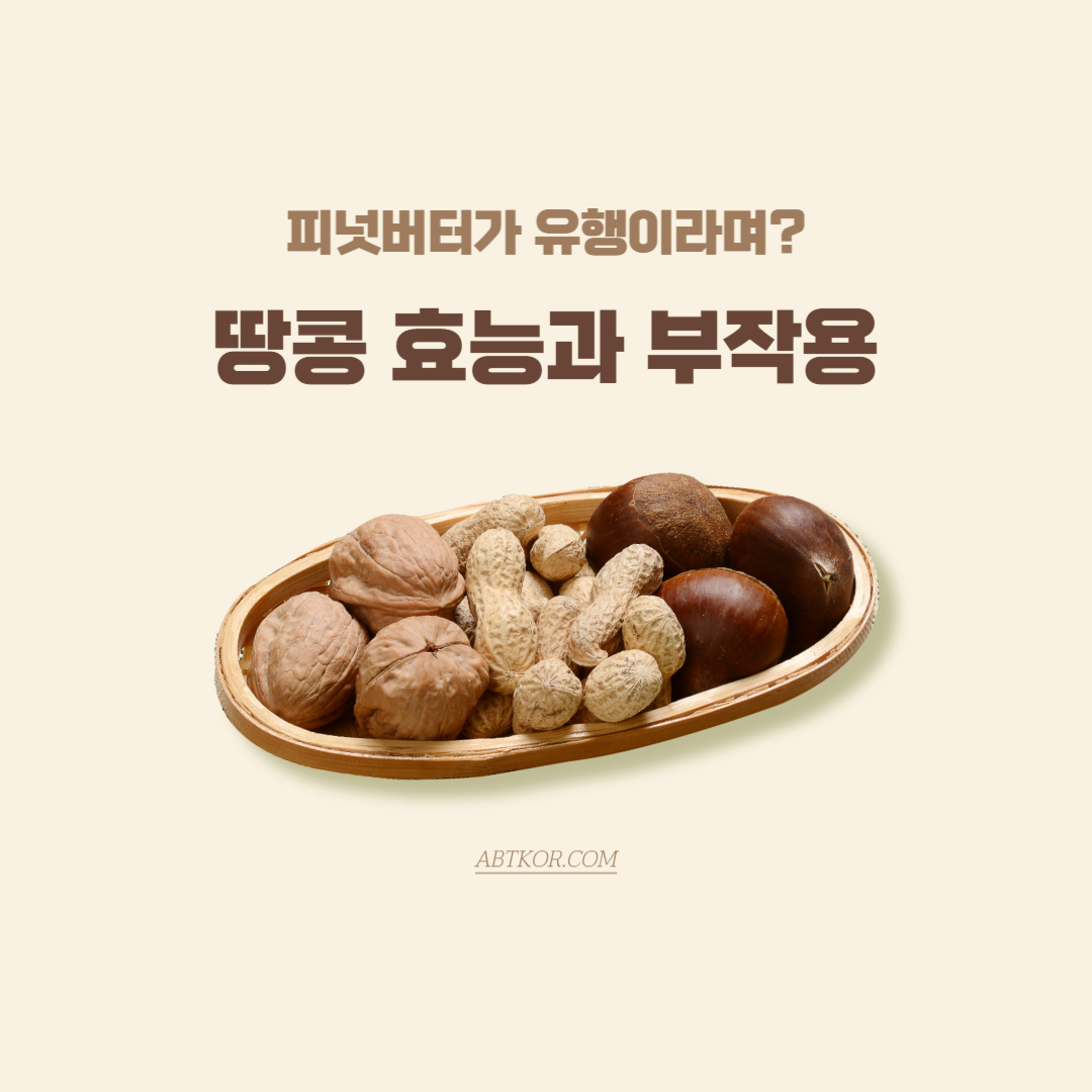 피넛버터 먹는법, 땅콩 효능과 부작용