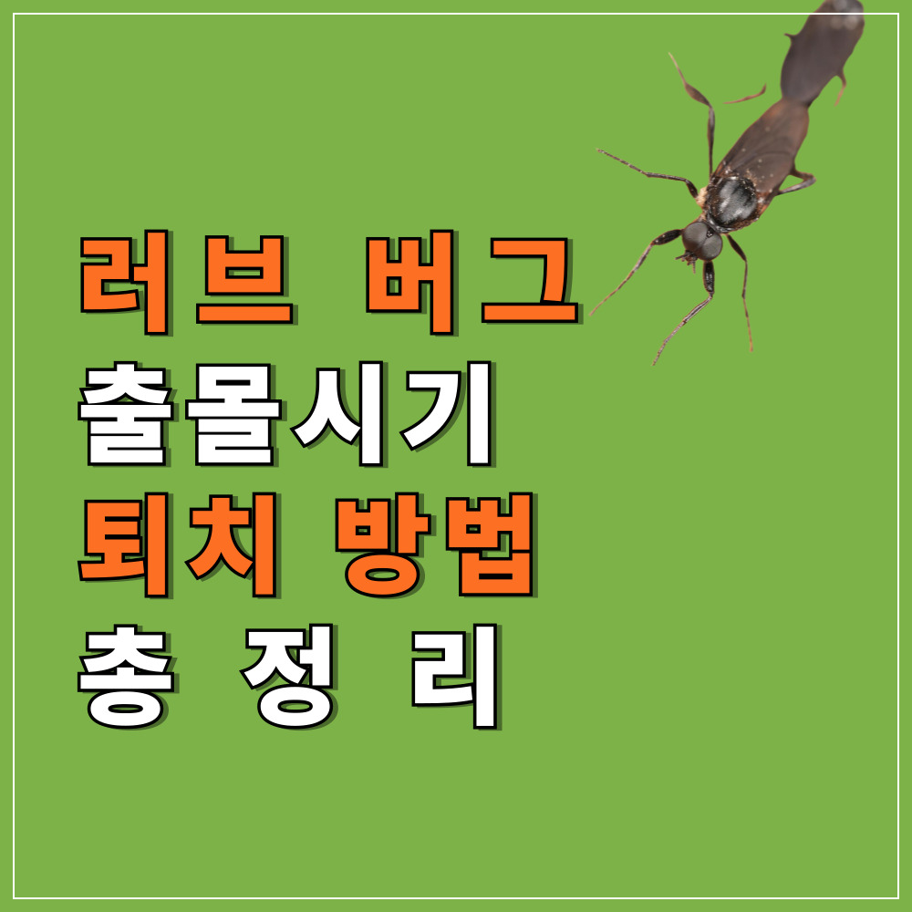 러브버그 총정리