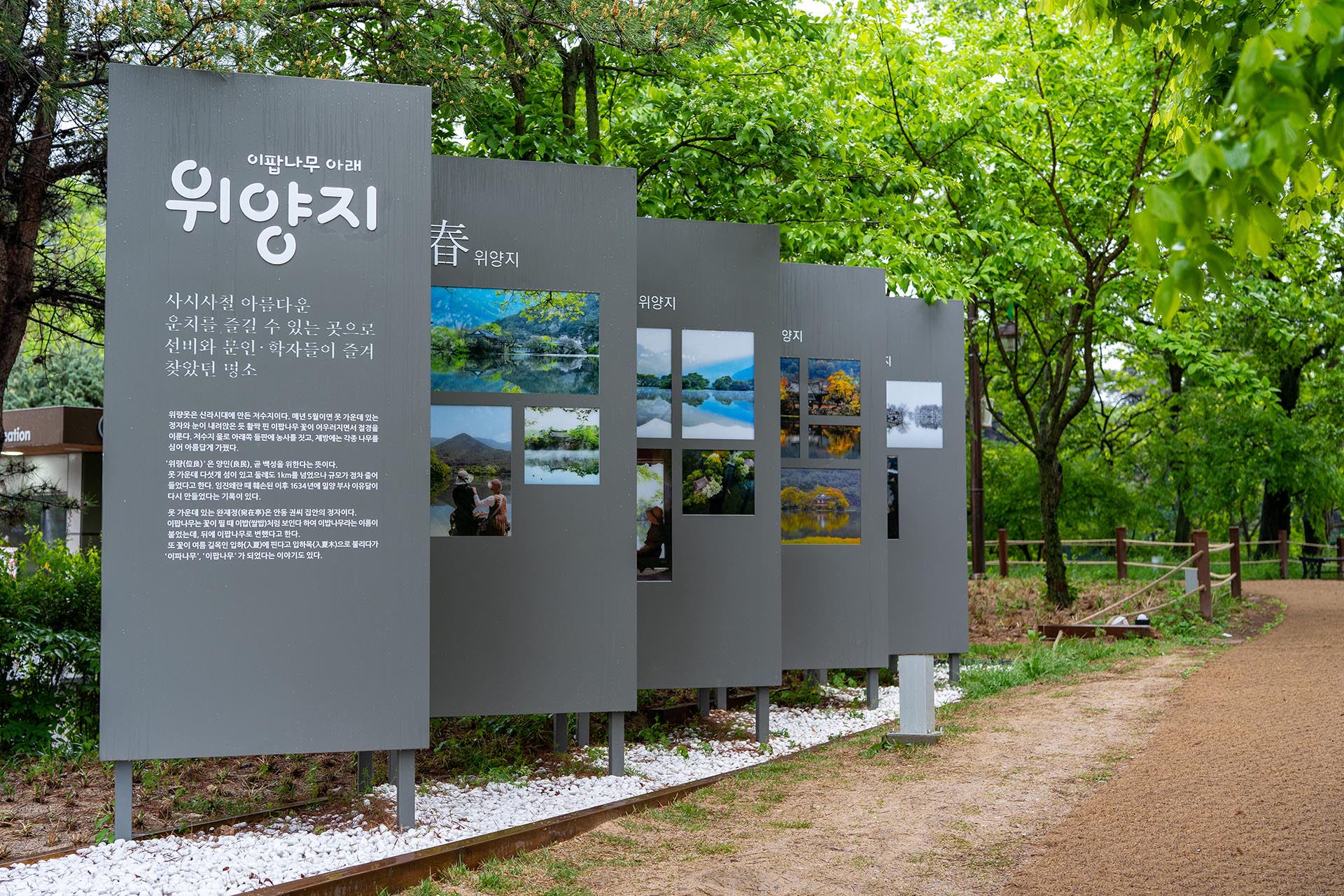 위양지 제방길