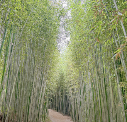 2025 추석연휴 전라남도 가볼만한 곳 BEST 5