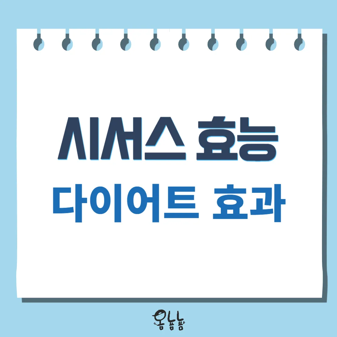 시서스 효능
