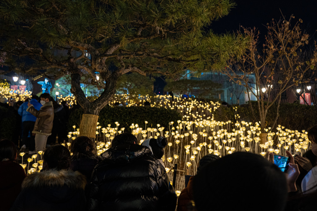 명동 성당 크리스마스