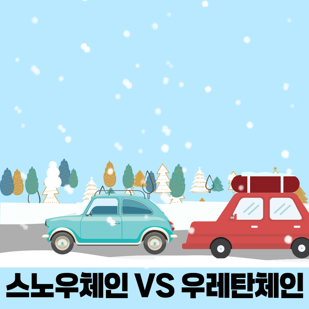 스노우 체인의 종류