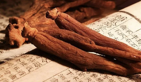 홍삼 건강기능식품 후기