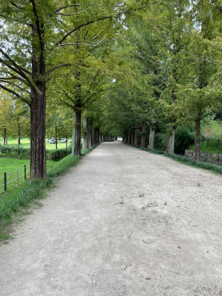 담양 죽녹원 가는 법