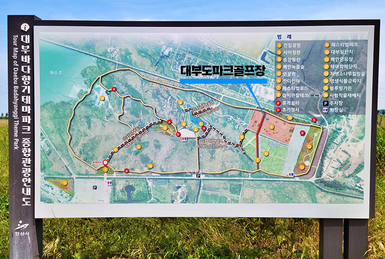 대부도파크골프장 (대부바다향기테마파크 페스티벌파크,
메타세콰이어길 파크골프장)