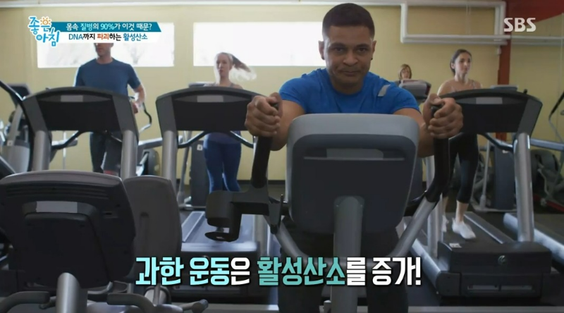 활성 산소가 생기는 원인 - 운동