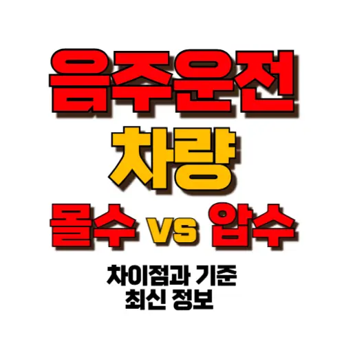 음주운전 차량 몰수