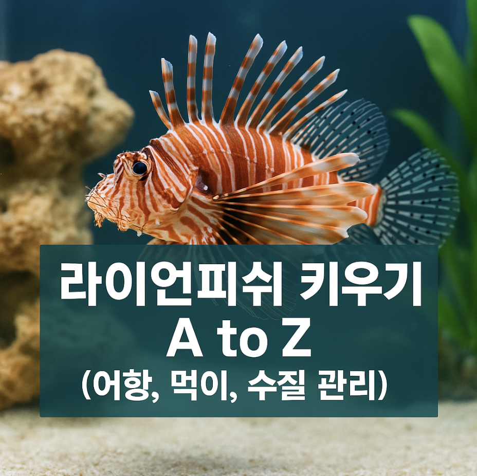 라이언피쉬 키우기 A to Z (어항, 먹이, 수질 관리)