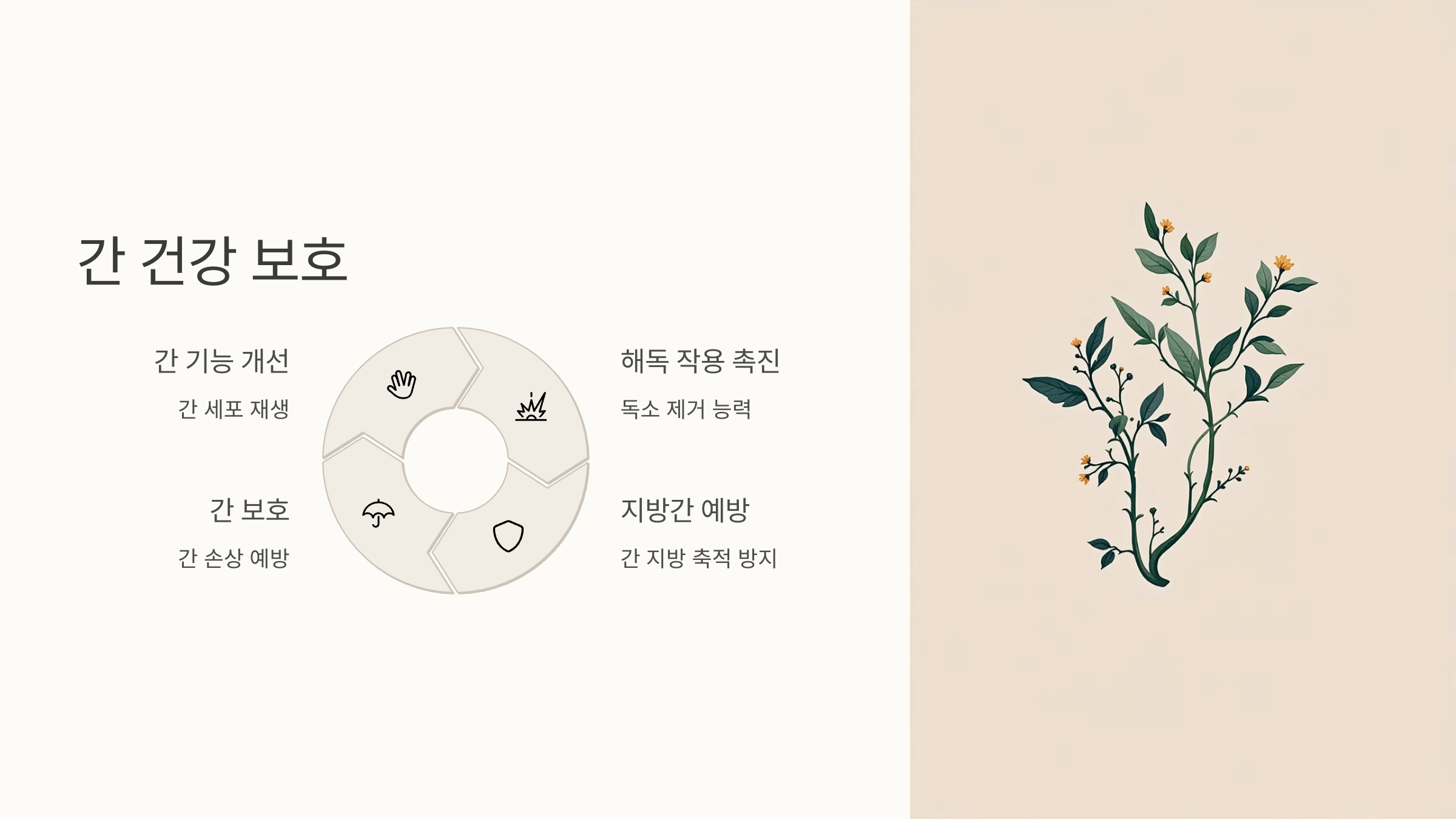 우슬뿌리 사진입니다.