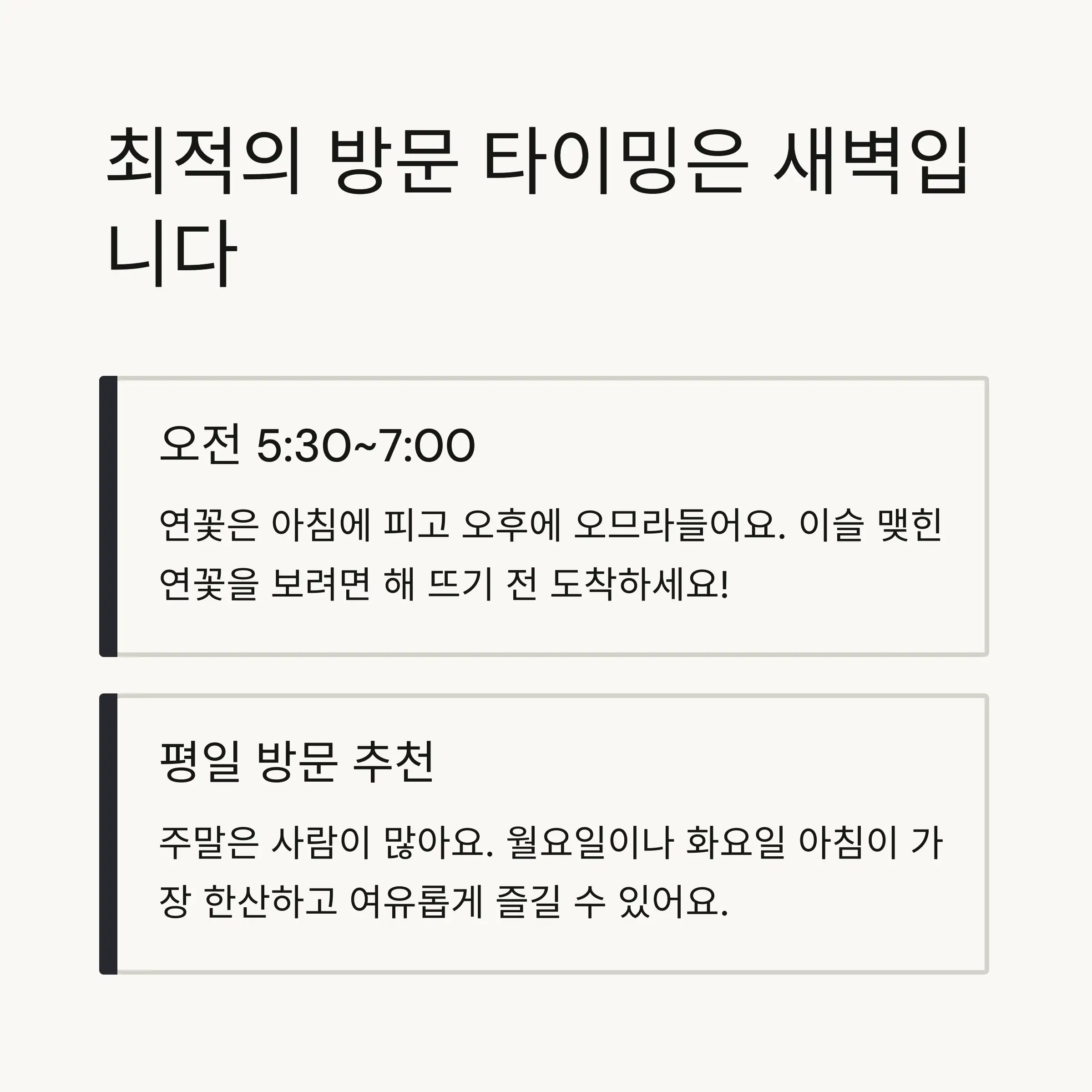 🌸 두물머리 연꽃 방문 최적 시기와 시간