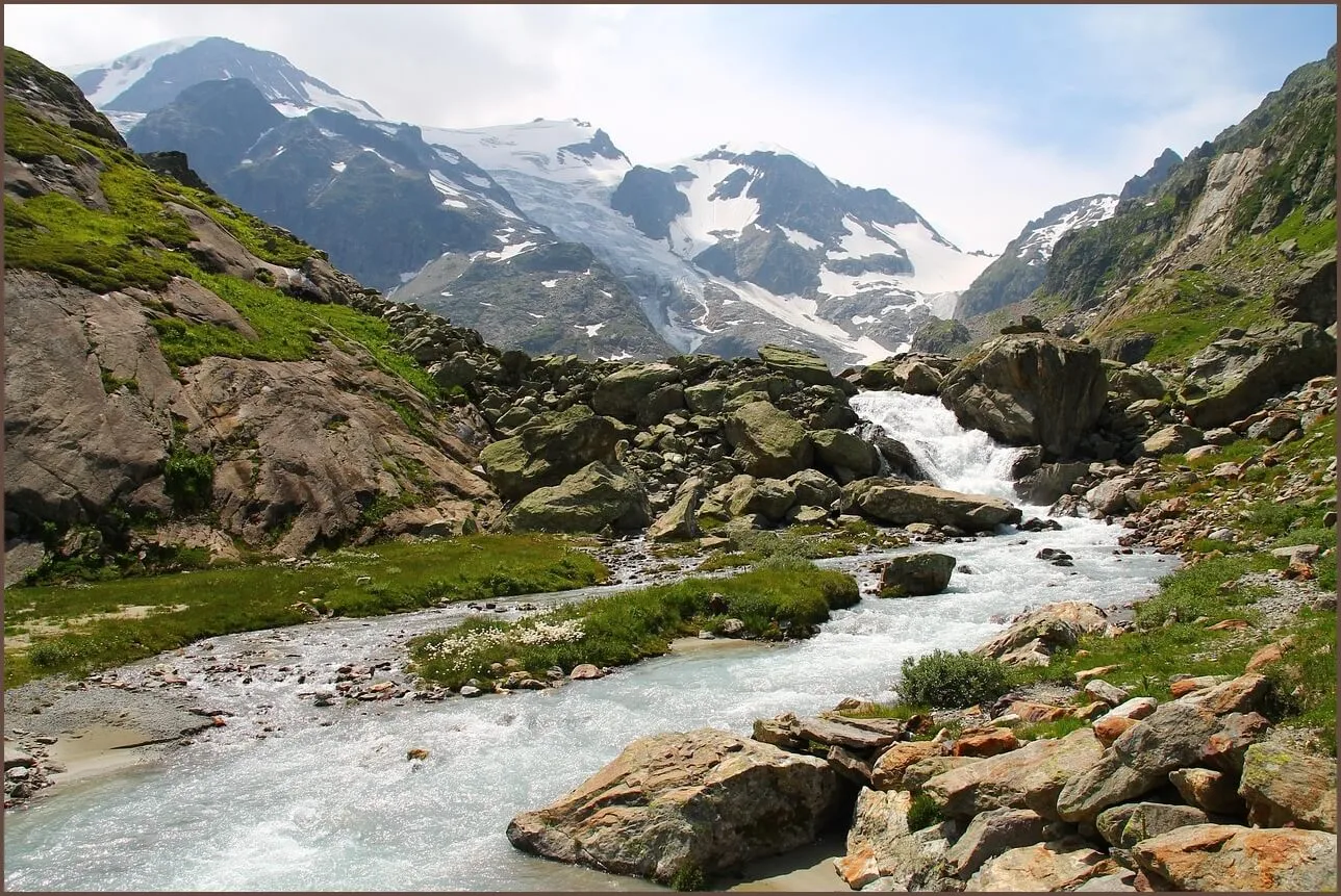 농협 예금금리 조회