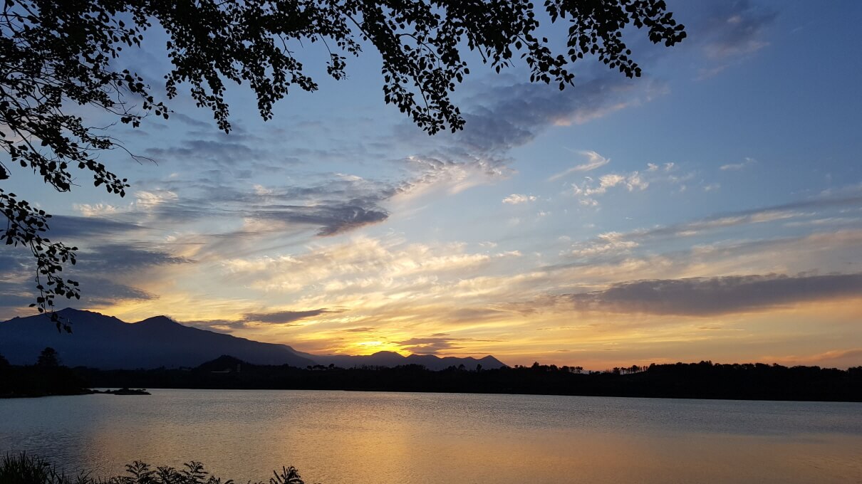 동해안 반려견 겨울 나들이 명소, 강아지와 함께 걷기 좋은 바다 산책 코스