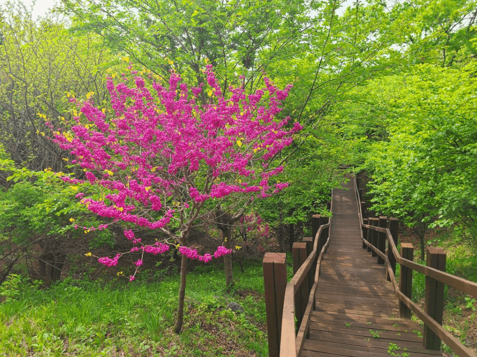 수목원