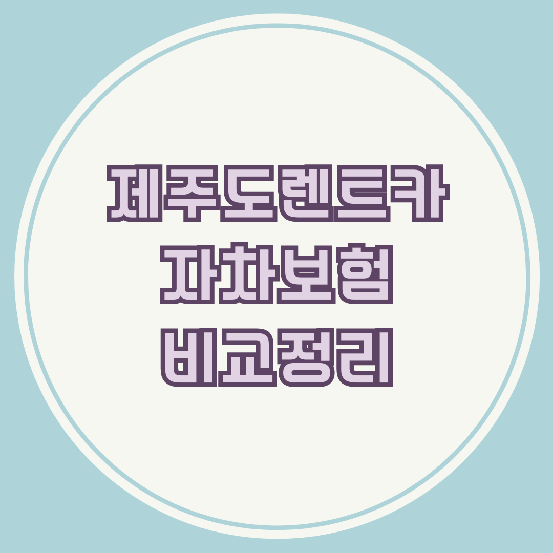 제주도 렌트카 자차보험 비교정리