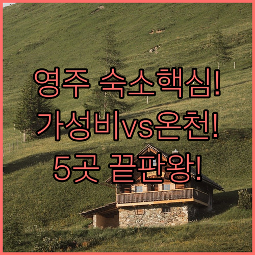 영주 숙소 5곳 비교 가성비 펜션부터..