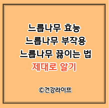 느릅나무 효능&#44; 느릅나무 부작용&#44; 느릅나무 끓이는 법
