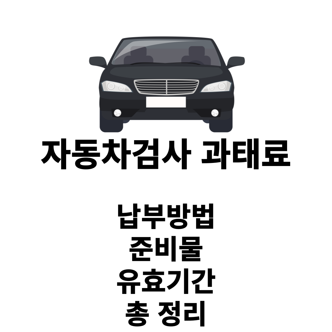 자동차검사 과태료