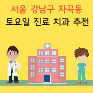 서울 강남구 자곡동 토요일 진료 치과 추천