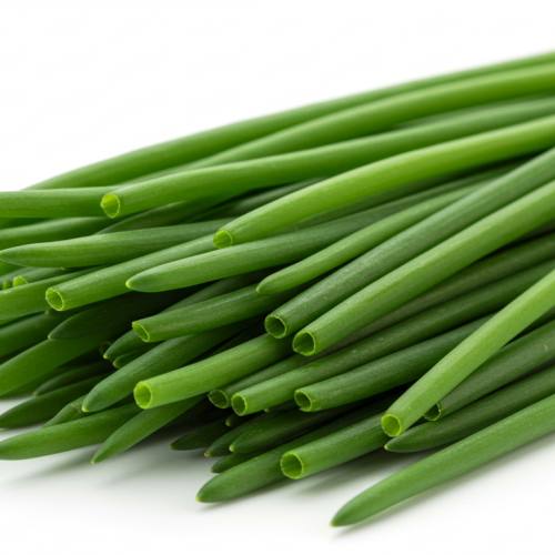 부추의 효능 사진