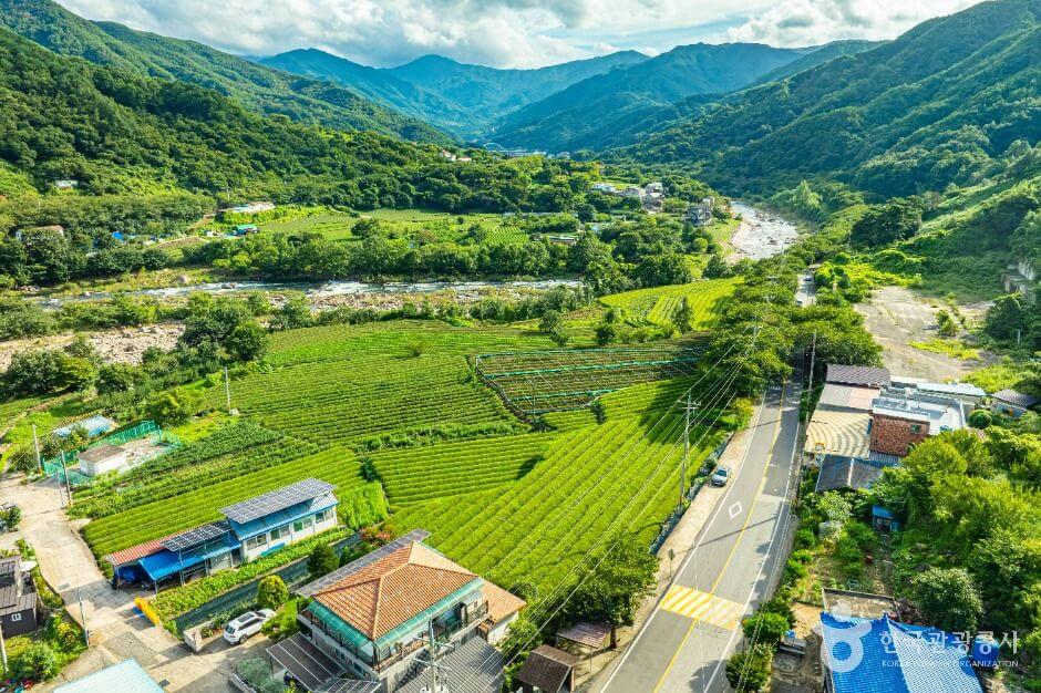 하동 가볼만한곳 베스트 10