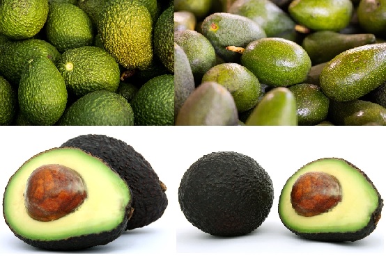 아보카도의 효능