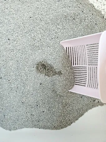 고양이 모래 추천 버리는법 벤토나이트 처리 탈취제_32