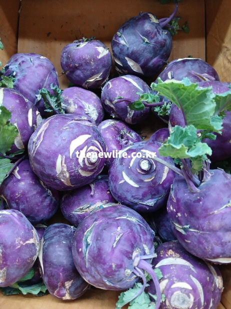 콜라비 효능을 높이는 방법을 설명하기 위한 사진으로, 박스에 담겨 유통되는 보라색 콜라비 실물