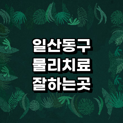 고양 일산동구 정형외과