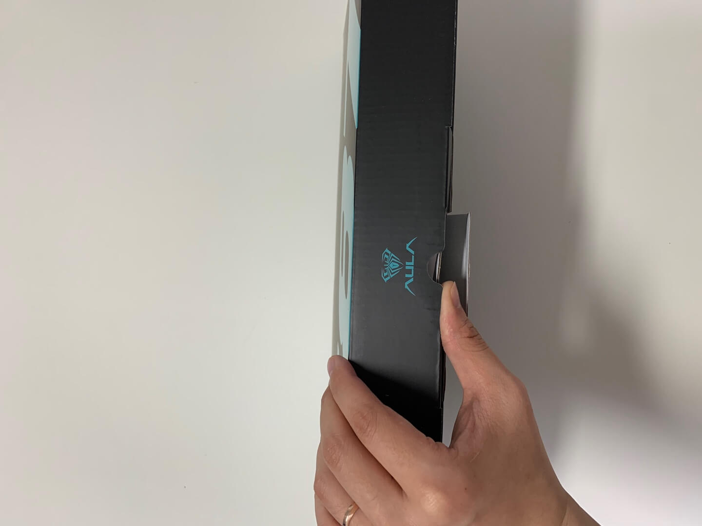 독거미 키보드 AULA F87 Pro 황축