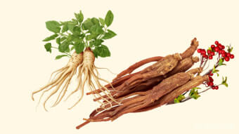 면역력 증진 식품