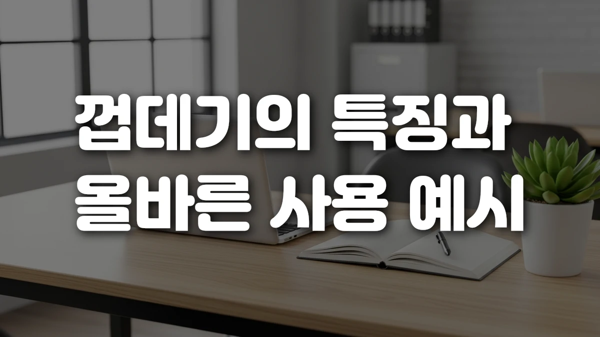 껍데기의 특징과 올바른 사용 예시