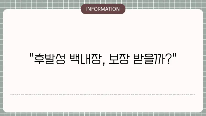 보험 가입 시 반드시 확인해야 할 사항