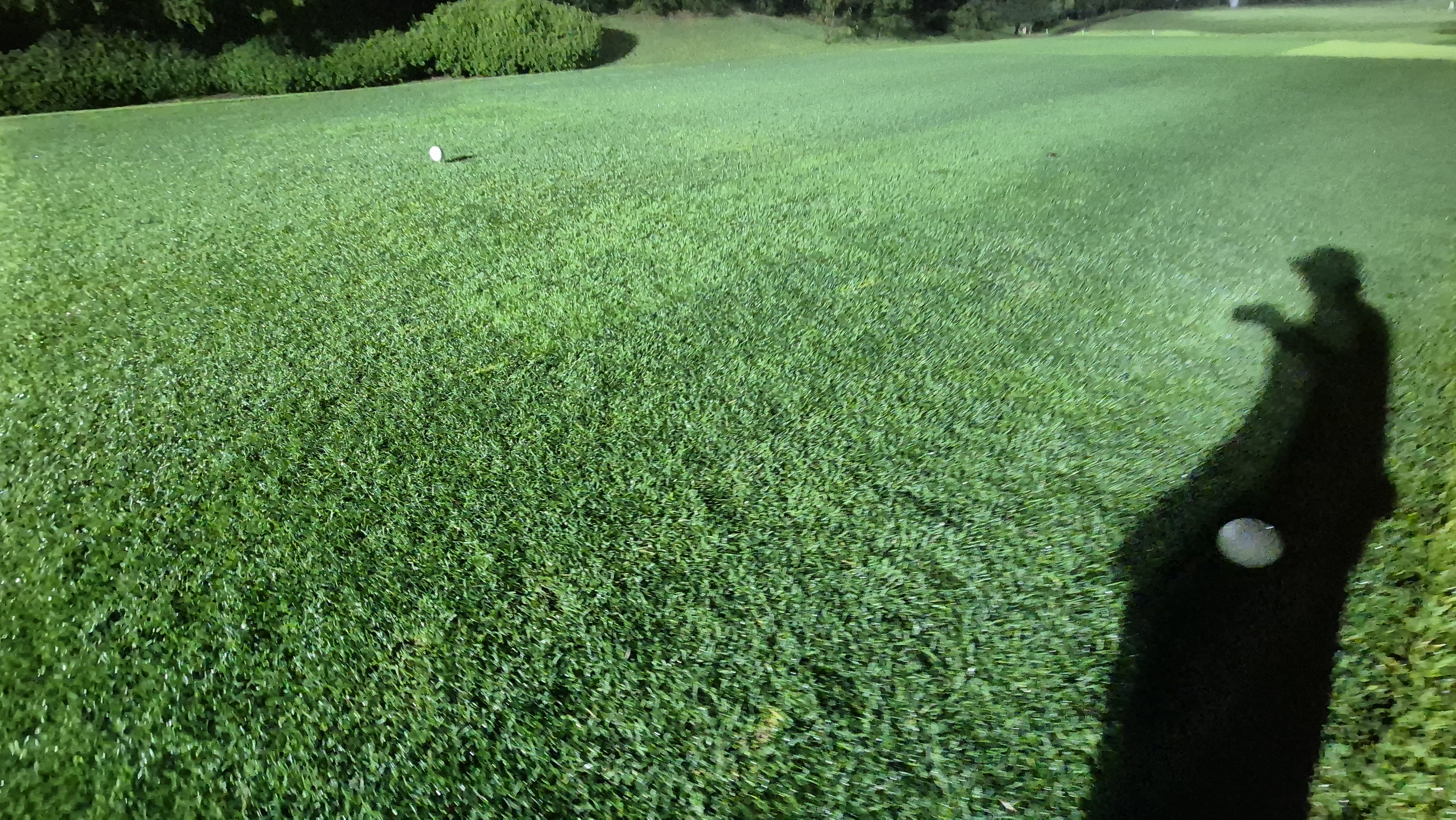 블루원용인cc 티잉구역상태