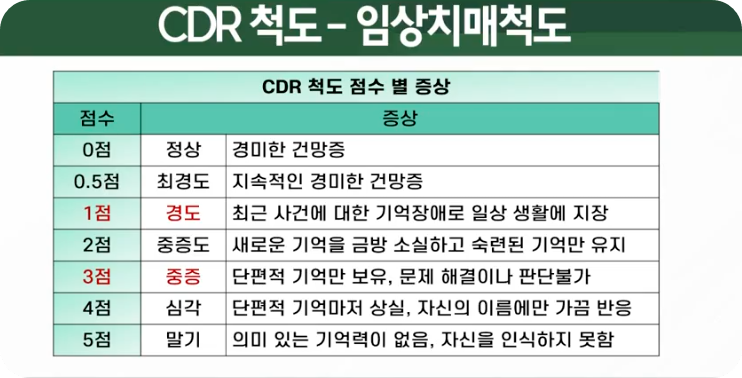 치매보험