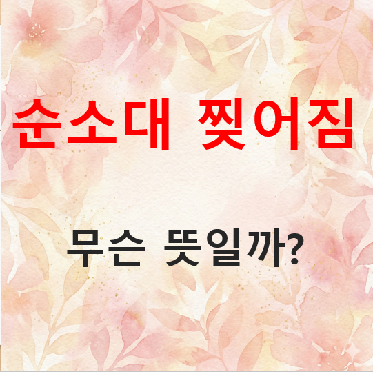 신생아 순소대 찢어짐? 무슨 뜻인지 알아야 안심해요