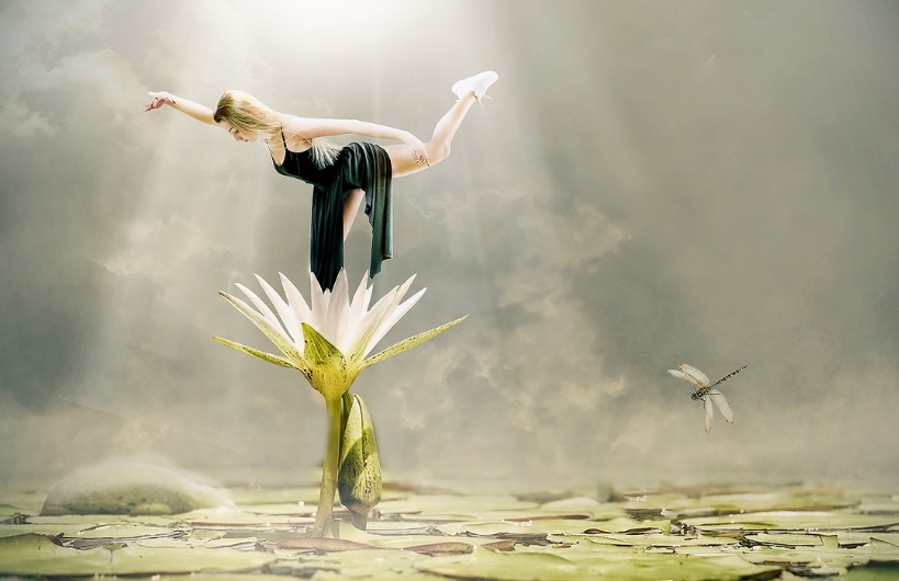 한여름 밤의 꿈 관련 사진