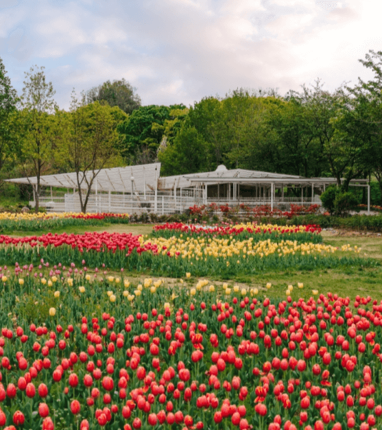 5월 충청남도 여행 추천 가볼만한 곳, 축제 일정