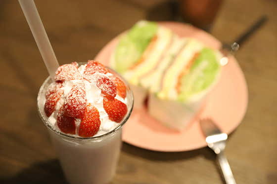 생방송투데이 샌드위치 고수 청주