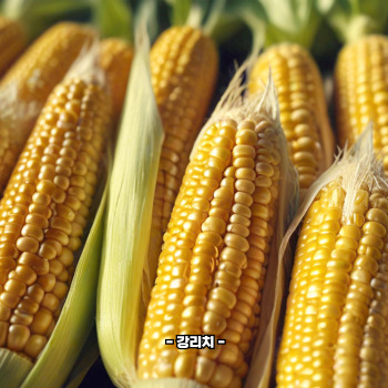 초당옥수수 부작용